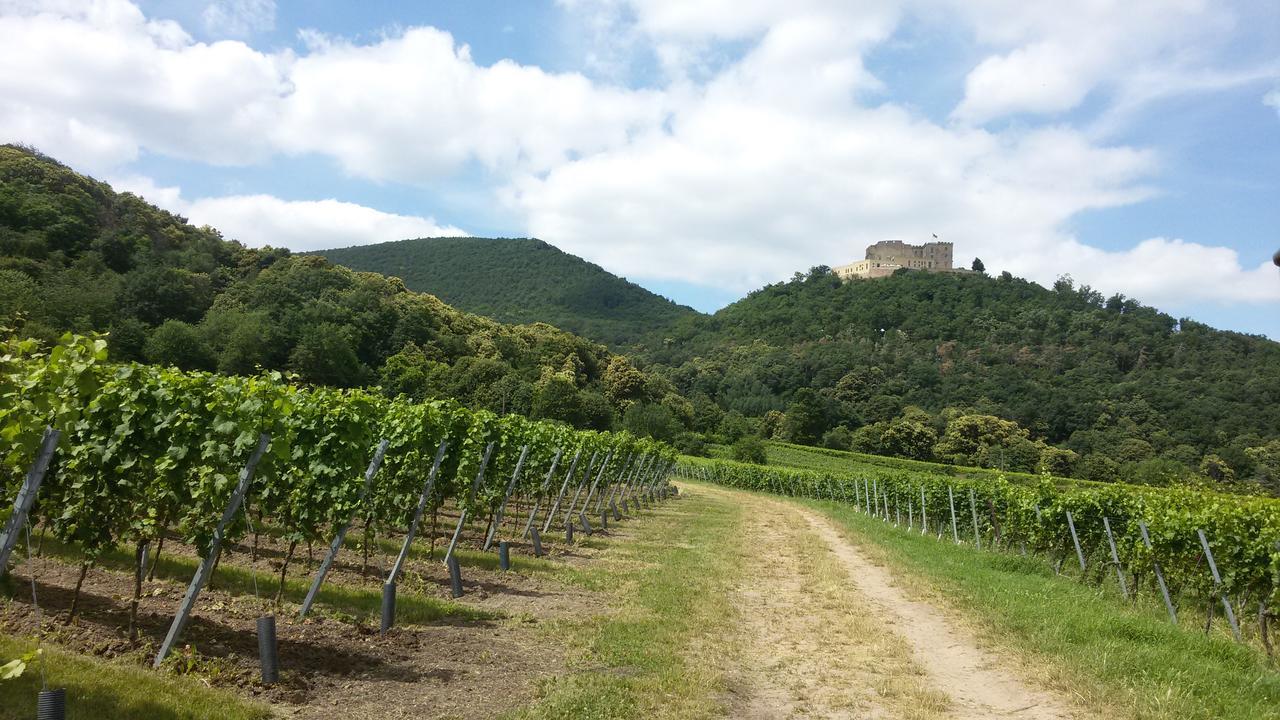 Gaestehaus Weingut Glas Neustadt an der Weinstraße Exteriör bild